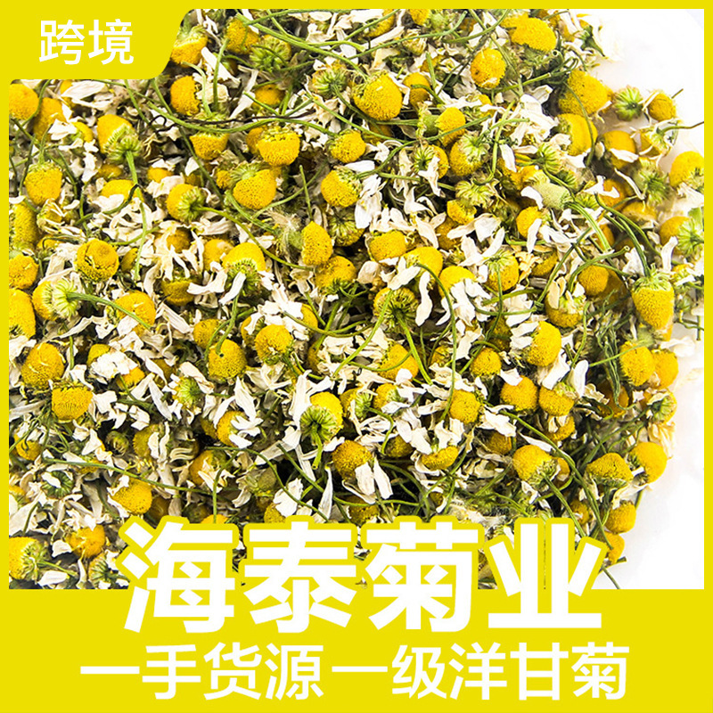 Haitai bulk wholesale chamomile new chamomile petals flower flower foam wholesale source factory price excellent