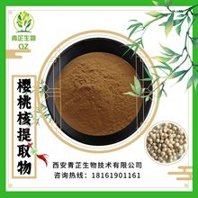 樱桃核提取物樱核桃粉10:1水溶好 品质稳定现货供应 量大从优青芷