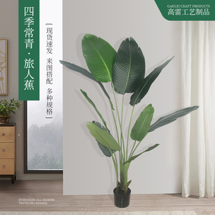 Gֲ˽ ֲָԽ~ؔ[Ҿb ˽辰