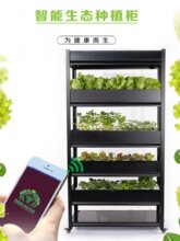 �҃�ˮ���r����ֱ���w��ͥ�ˈ@�o�������O��N�˙C