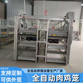 框架肉鸡笼子养殖场用框架鸡笼热镀锌立式肉鸡自动化养殖设备厂家