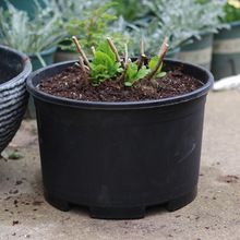 �S�����l��ɫ�Ӂ�������Gֲ���ԾG�}�¼��N�˷N��������ϻ���