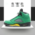 Aj5 oregon duck