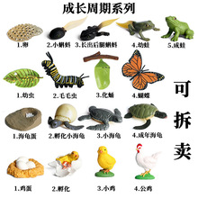 ��ͯ�ƽ̷������ģ����ߺ������u�����L���ڼ������xëë�x�[��