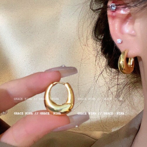 Metal cold style hoop earrings niche design high-end earrings new 2024 hot style temperament earrings for women
