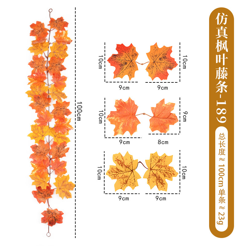 단풍잎 등나무-189