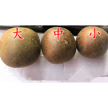 ��̫��.�_�h�� ��ș�����l ��؛ �_�h�� ����С�� �_�h�� �a��؛