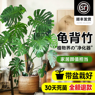 ������͏d�����Դ��~�_���Ϙ�����k���Ҵ��;Gֲ���҃ȃ����՚�