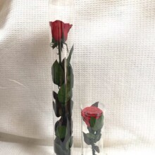 ���l��������֦���rõ�廨�����������}�Q�����˹��Y�����նYƷ��