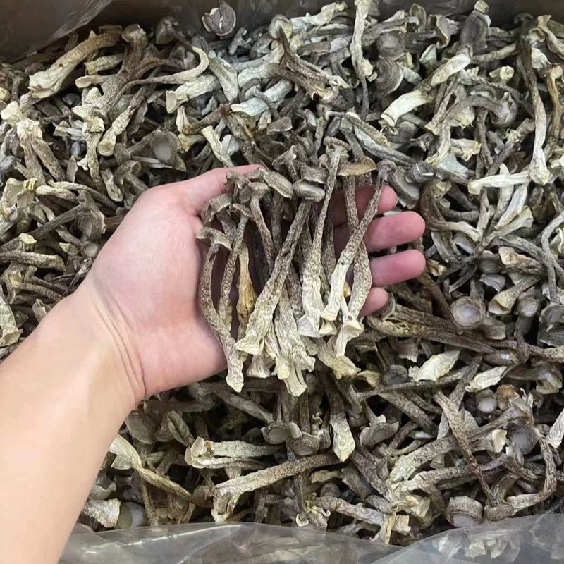 Грибной суп рога гриб упаковка сухих товаров оптом Руи люблю рога гриб несколько спецификаций происхождение оптом