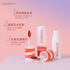 DIGNIFE女主角唇泥批發霧面啞光絲絨口紅唇釉唇彩學生平價