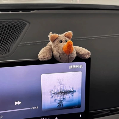 Car ornaments | lying down ornaments screen
