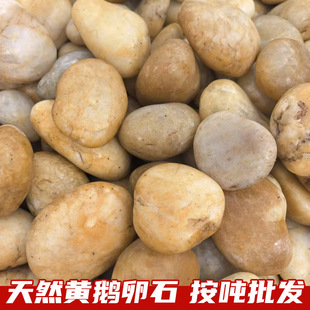 �Sɫ�Z��ʯͥԺ���@䁵ؒ���ʯ�^�����·�����b�Ʒ��Ȼ�껨ʯ