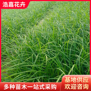 ����̦��С��������G̦���ļ����G�ݻ���һ������·���@С�^�G��