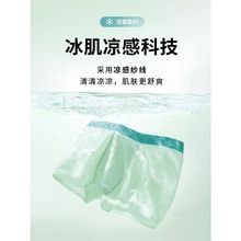 找工厂2023年夏季新款男士简约轻薄凉感锦纶冰丝内裤中腰平角裤男