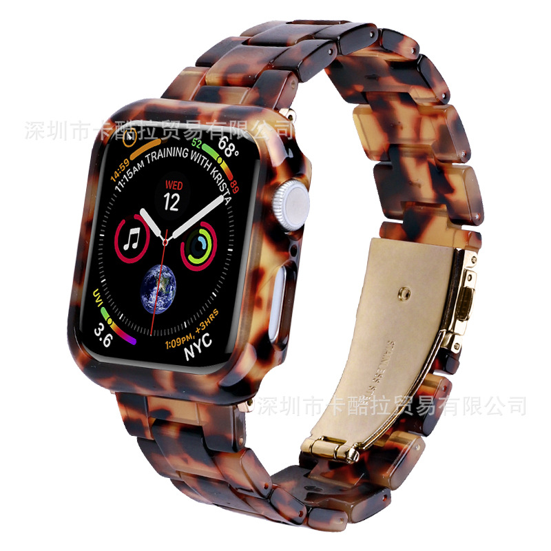 대모갑 벨트 + 쉘 세트