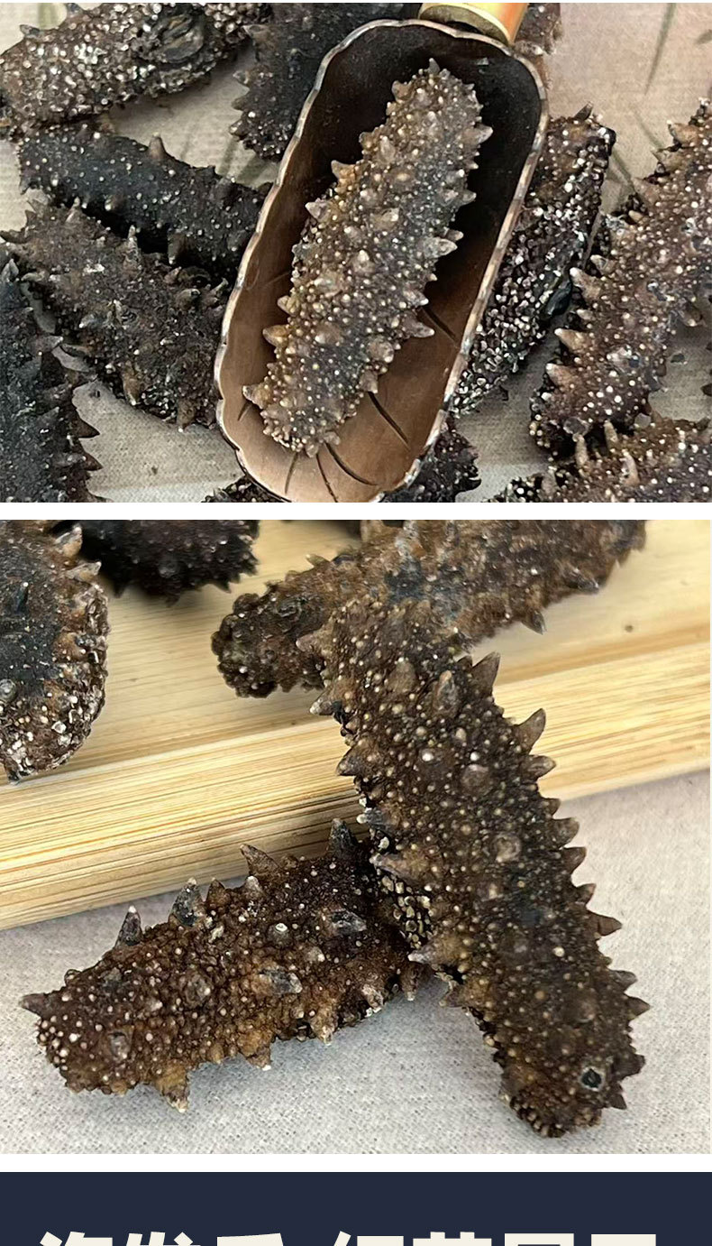 Dalian Dried Sea Cucumber Gift Box Premium Liaoning Lightly Dried Sea Cucumber 50g quality and texture
