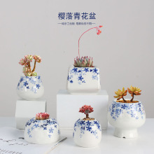 厂家直销落樱系手绘青花高颜值多肉植物花盆桌面阳台陶瓷绿植盆