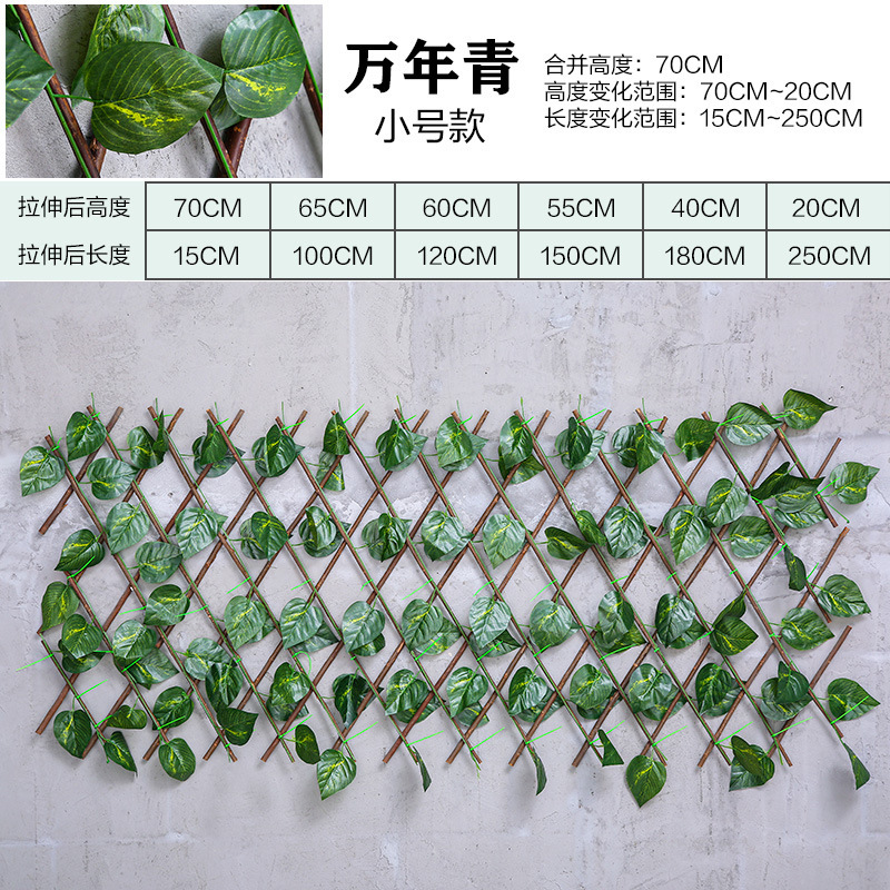 18201777686_77184706