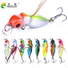 HENGJIA Hengjia Pop-Up Minnow Lure for Freshwater Fishing Insect Imitating Hard Baits