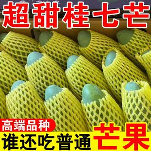 ���ڏV����ɫ��|����â�����r�Ꭷˮ�������Fժ����â��10������