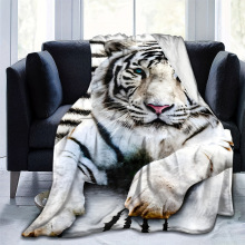 E 28911 Thick Flannel Blanket �Ӻ�����ë̺�羳����ͨ��