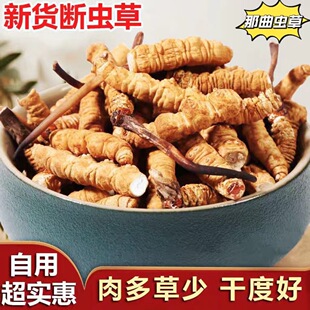 �������x�Ĳݴ��ݼ��⹝�x�ݔ�����ó�����һ��؛Դ���l��Ȼ