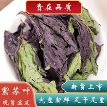 ���K�~��ș��500�˷�Ұ�����K�~���K���~��؛�ݲ������{�Ϸ�Ұ��