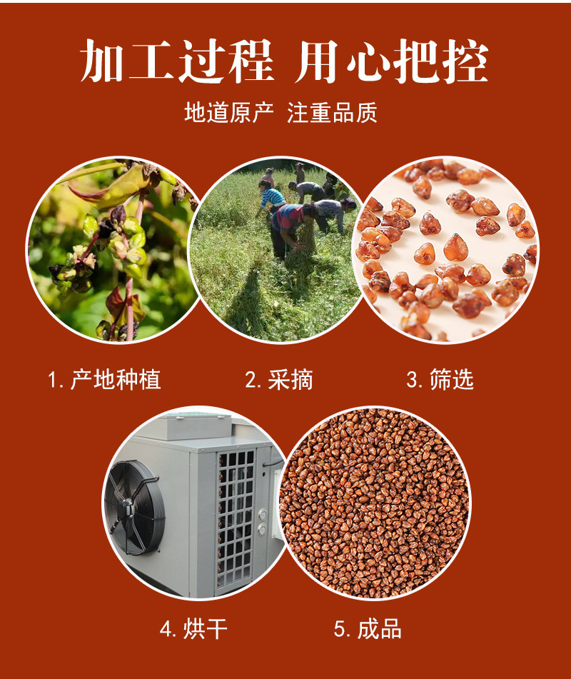 Whole-Plant Black Tartary Buckwheat Tea (Fagopyrum tataricum) — 500g Loose Herbal Tea preparation