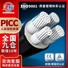 �Xо��|10/16/25/35/50/70/95ƽ���X��|�������ľ��X���羳���l