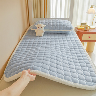 Milk Velvet Mattress Student Dormitory Mattress Pad Household Single 90X190 Coral Velvet Cushion Soft Cushion Thickeneded Mattress