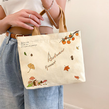 帆布包女2024年新款简约小布袋上班族通勤包包迷你手提包一件代发