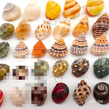 �ľ�з��Ʒ�ֹ��ľ�з��Q������b�ؐ���[�����С̖��̖��ɫ