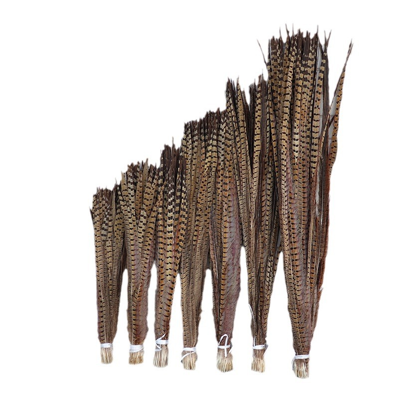 Mayorista 15 - 100cm plumas de cola de pollo de montaña, plumas de gato, plumas de gallo de montaña, plumas de gallo de Beijing, plumas de gallo salvaje