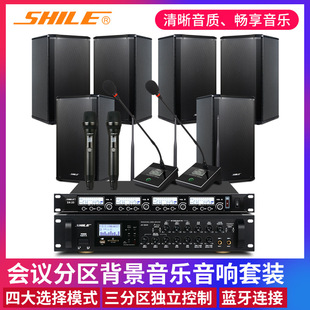 Lion Conference Room Wall-Mounted Audio Amplifier Microphone Training Set Three-Zone Bluetooth Amplifier Speaker