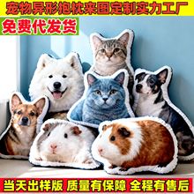 来图定做抱枕靠垫定制毛绒卡通异形抱枕公司活动礼品创意外贸抱枕