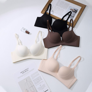 �S��ֱ���o�Ȧ����С���@��۔n�����ϱ��º���������Ůʿ����
