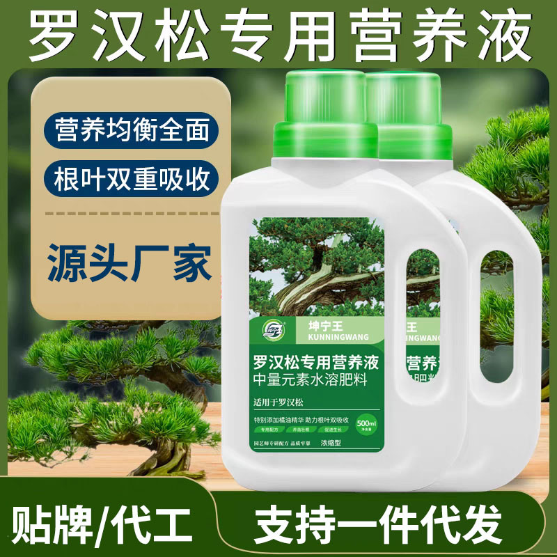 罗汉松营养液肥料专用肥家用植物盆景土水培养护叶面肥通用营养液
