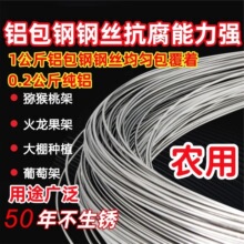 �X��䓽z�r�����ѫJ���Ұ����������������@���P�F�z䓽zӲ�z