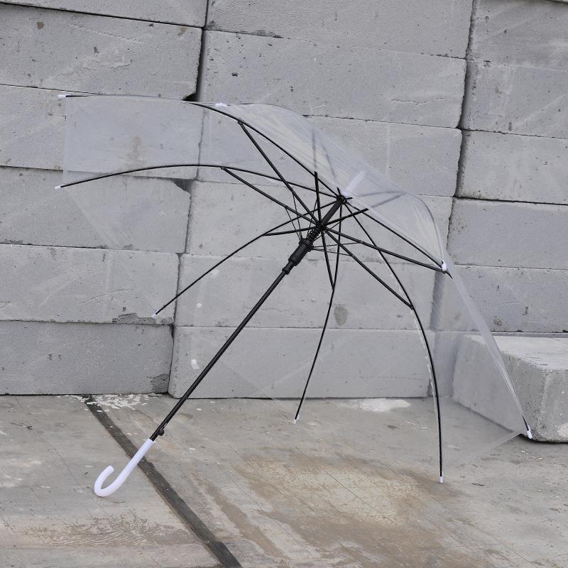 塑料透明雨伞8骨自动直柄长柄透明伞太阳遮阳伞超大可定 制|undefined