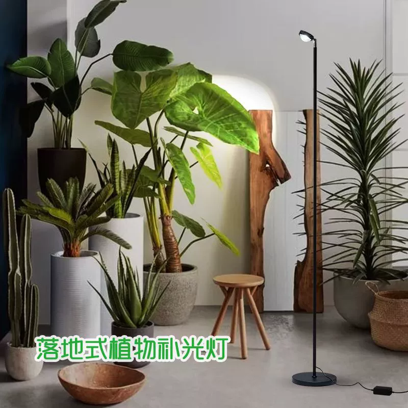 Fill light, floor plant lamp solar-powered, comfortable light spectrum