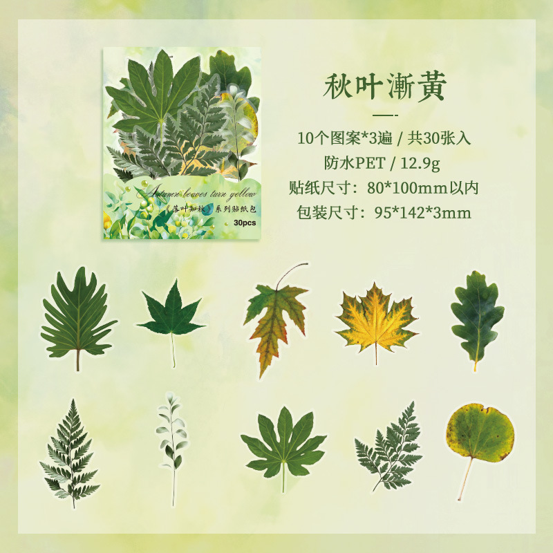 Hojas caídas en otoño impermeable mascotas transparentes pegatinas de tela de mano paquete diy pegatinas de tela de mano materiales vegetales pegatinas de hojas para niños pegatinas de hoja