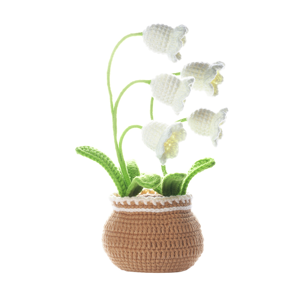 Lily of the valley large potted plant