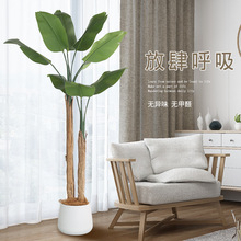 �羳�Ž������Gֲ���҃����Դ��ͷ������٘��p�ݿ͏d��ؔ[��