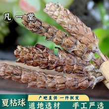 ��һ��  �Ŀݻ� �Ŀ���Ұ�� ��鳲� �Ŀ�������؈צ���ѹ�Ӣ