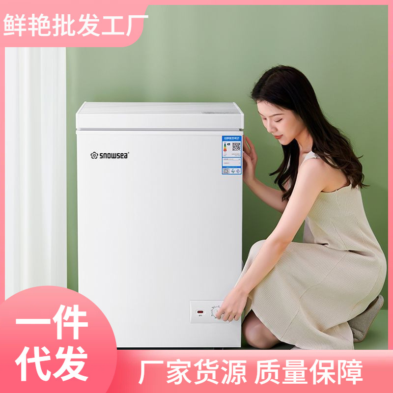 Snowsea Small Freezer Household Fully Frozen Small Freezer Fresh-Keeping Box Dual-Purpose Refrigerated Freezer Horizontal Freezer