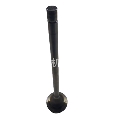 Valve 4089089 Cummins – Avtomobil mühərrikləri