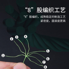 8��pe��·��������·��pe���~����������~������ɫ�O��