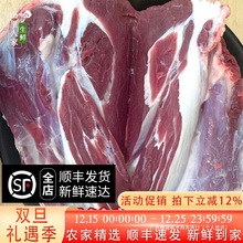 3�� ����ţ������ �F���r��ɢ�B�Sţ ���rţ��ţ����ţ������l؛