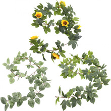 ���R�d�¿� �W���Ҿӱڒ������bGɫֲ������~�����ȼ����ٗl